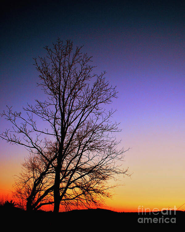 Sky Art Print featuring the photograph Colorscape by Lori Tambakis