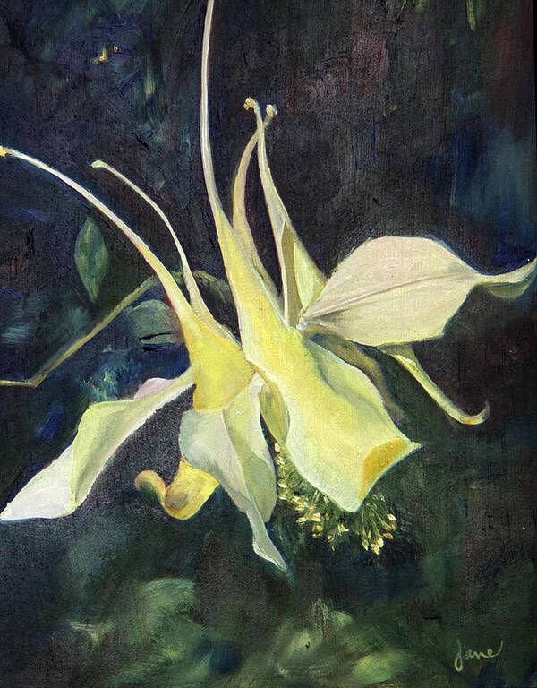 Plein Air Art Print featuring the painting Columbine by Nila Jane Autry