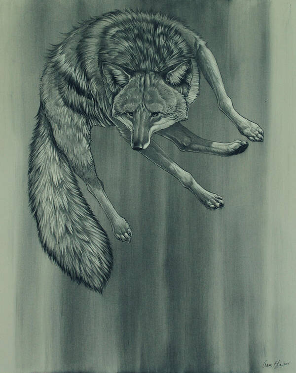 Coyote Art Print featuring the digital art Coyote by Aaron Blaise