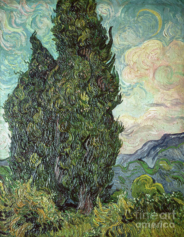 Cypresses Art Print featuring the painting Cypresses by Vincent Van Gogh