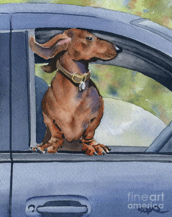 Dachshund Art Print featuring the painting Dachshund in a Car by David Rogers