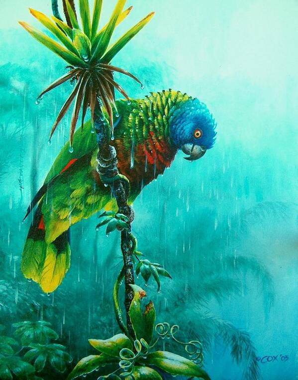 Chris Cox Art Print featuring the painting Drenched - St. Lucia Parrot by Christopher Cox