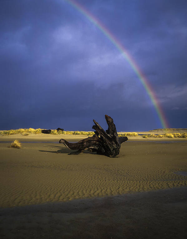 Beaches Art Print featuring the photograph Driftwood and Rainbow by Robert Potts