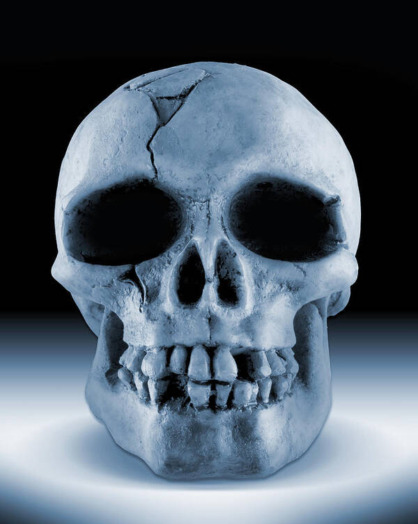 Skull Art Print featuring the photograph Feeling Blue by Mike McGlothlen