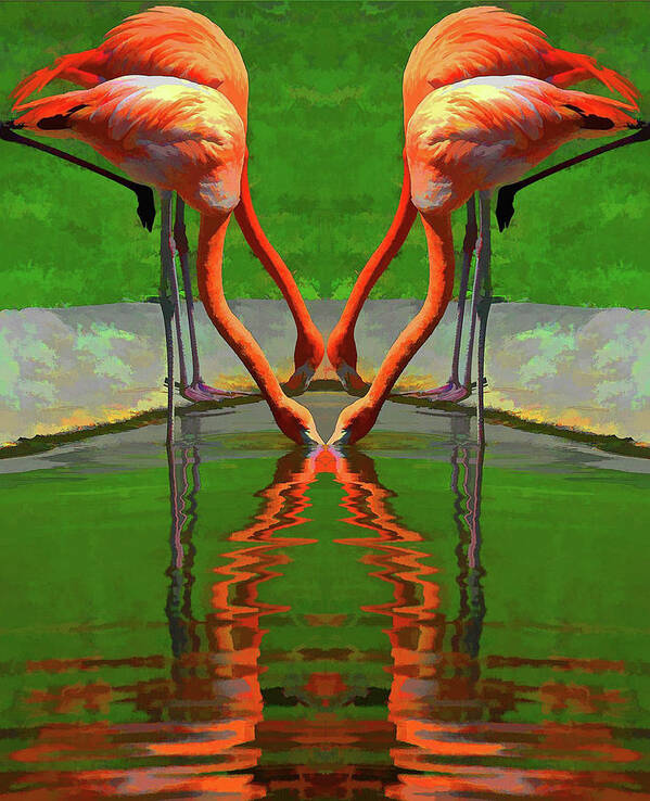 Flamingo Art Print featuring the photograph Flamingo Heart by Rochelle Berman