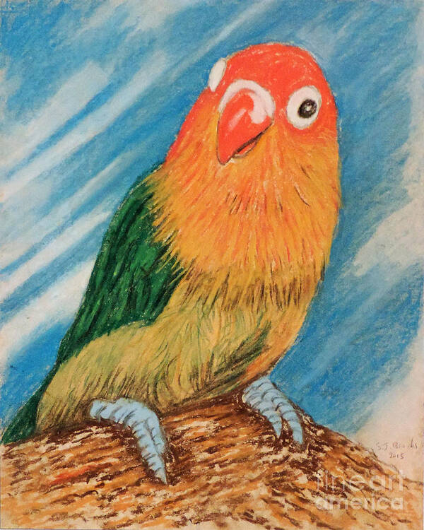 Stephen Art Print featuring the pastel Fluffy Lovebird by Stephen Brooks