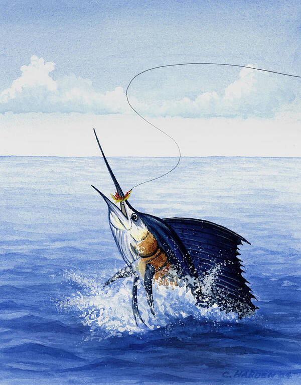 Fly Fishing for Sailfish Art Print by Charles Harden - Pixels Merch