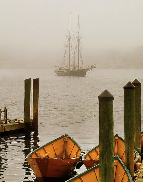 Foggy Art Print featuring the photograph Foggy Morning in Gloucester MA by Michele A Loftus