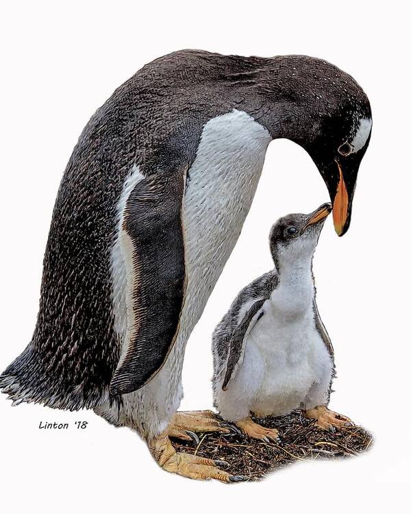Penguins Art Print featuring the digital art Gentoo Penguins by Larry Linton