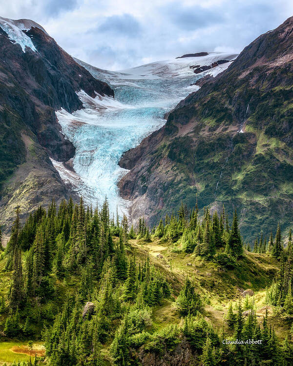 Glacier Art Print featuring the photograph Glacier and Alpine Meadow by Claudia Abbott