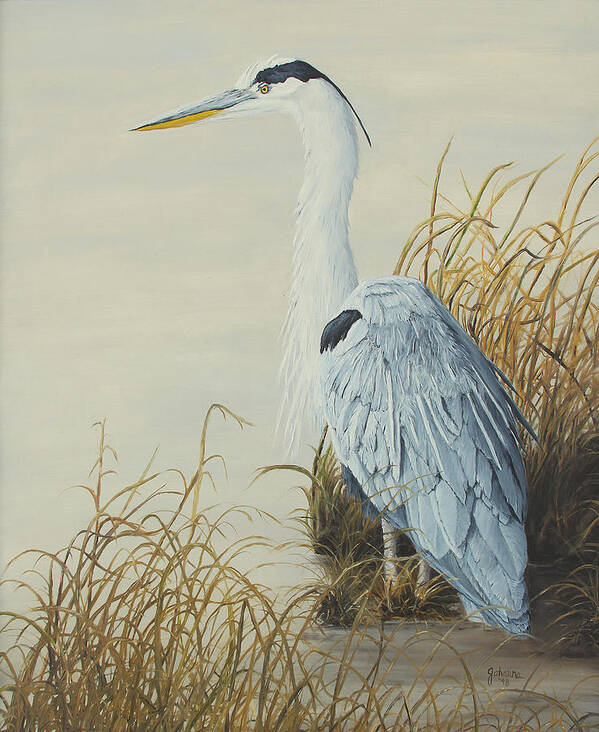 North American Wildlife Art Print featuring the painting Heron at Marsh Edge by Johanna Lerwick