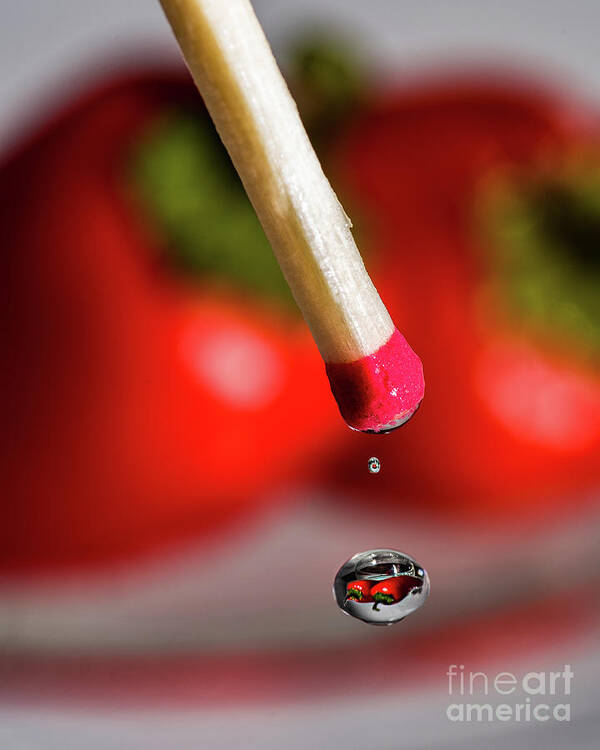 Peppers Art Print featuring the photograph Hot Pepper Drops by Alissa Beth Photography