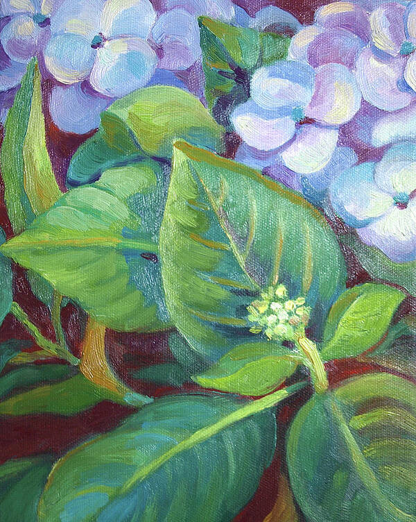 Hydrangea Art Print featuring the painting Hydrangea for Valentine 2011 by Linda Ruiz-Lozito
