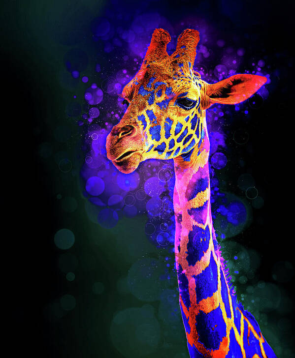 Animal Art Print featuring the photograph I Dreamt a Giraffe by James Sage