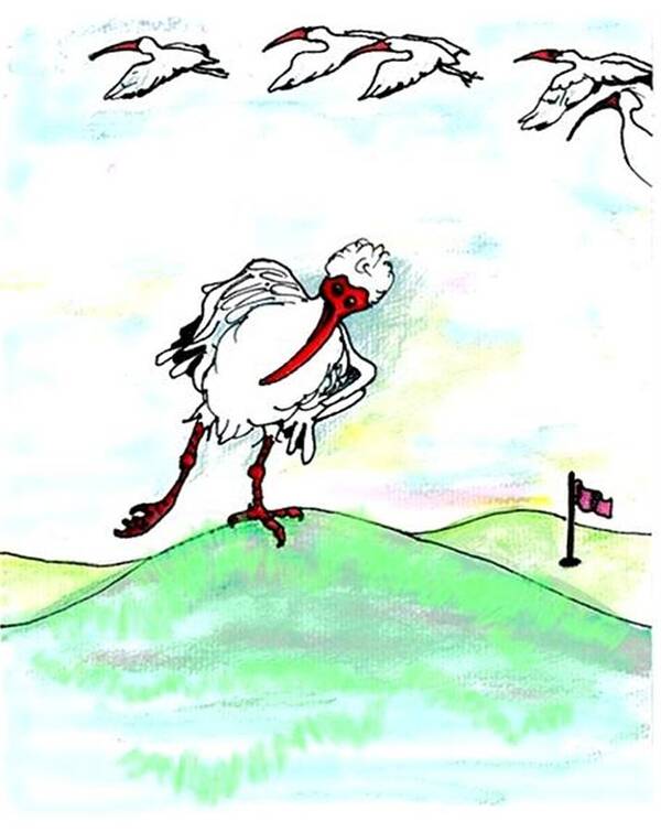 Ibis Art Print featuring the drawing Ibis hates leg by Carol Allen Anfinsen