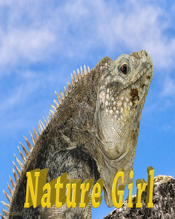 Iguana Art Print featuring the photograph Iguana Nature Girl by LeeAnn McLaneGoetz McLaneGoetzStudioLLCcom