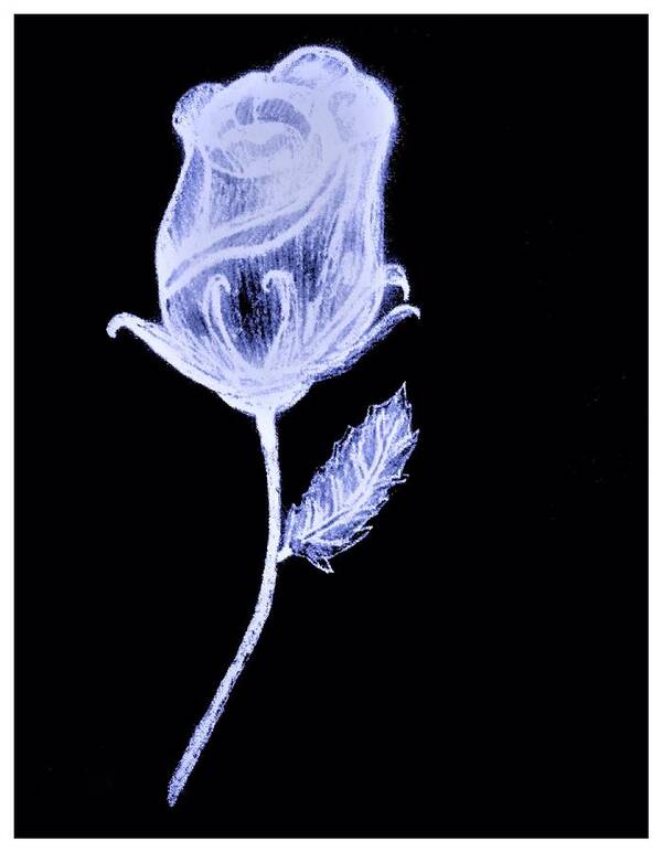 Pencil Art Print featuring the drawing Inverted Sketch Of A Rose by Debra Lynch