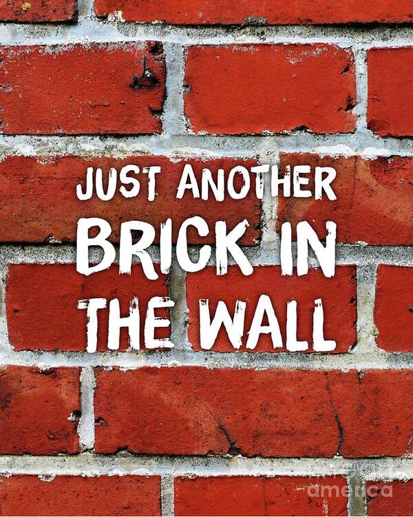 Another Brick In The Wall Canvas Print