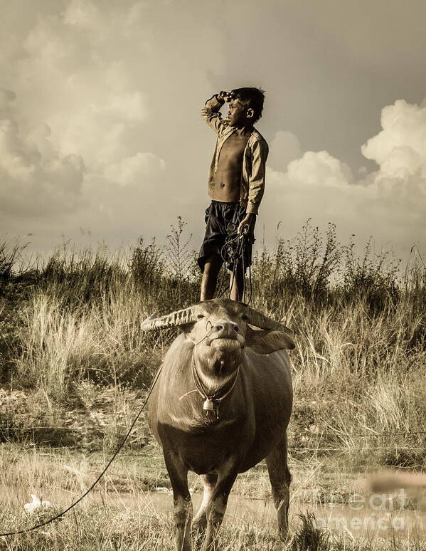 Boy; Cow ; Trip ; See ; Future ; Grass ; Lake ; Play Art Print featuring the photograph Kid and Cow by Arik S Mintorogo