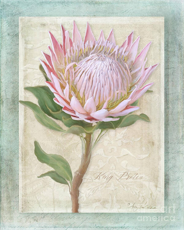Botanical Floral Art Print featuring the painting King Protea Blossom - Vintage Style Botanical Floral 1 by Audrey Jeanne Roberts