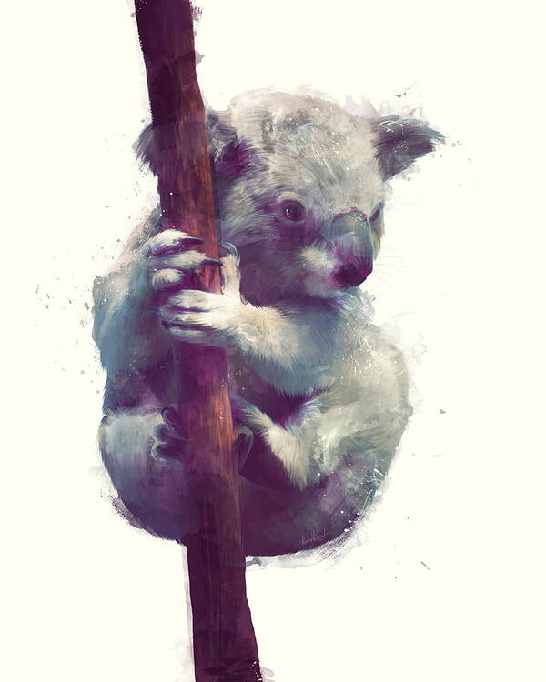 Koala Art Print featuring the painting Koala by Amy Hamilton