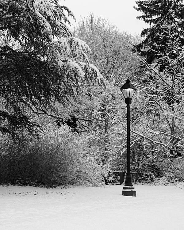 Lamp Post Art Print featuring the photograph Lamp Post in Winter - B/W by William Selander