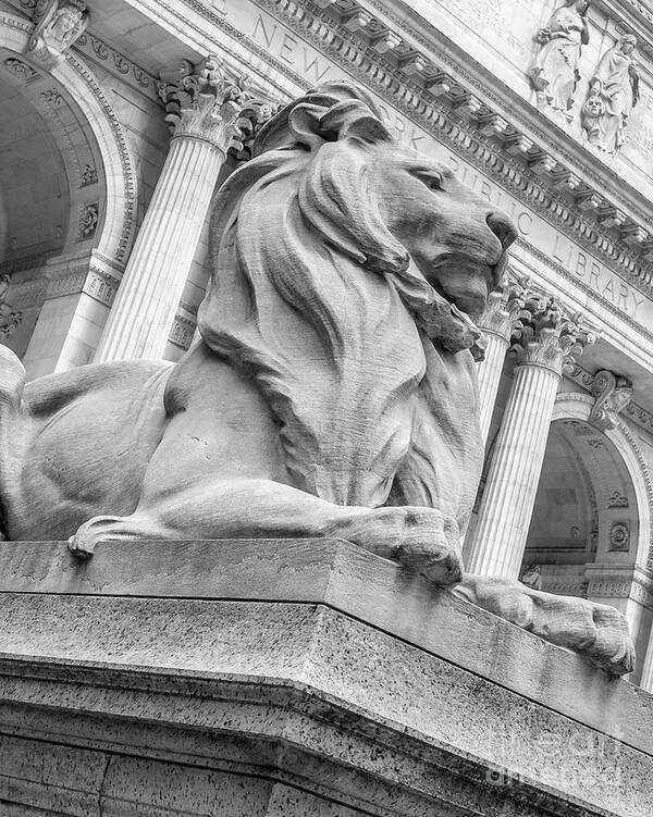 Nyc Art Print featuring the photograph Lion Statue New York Public Library by Edward Fielding