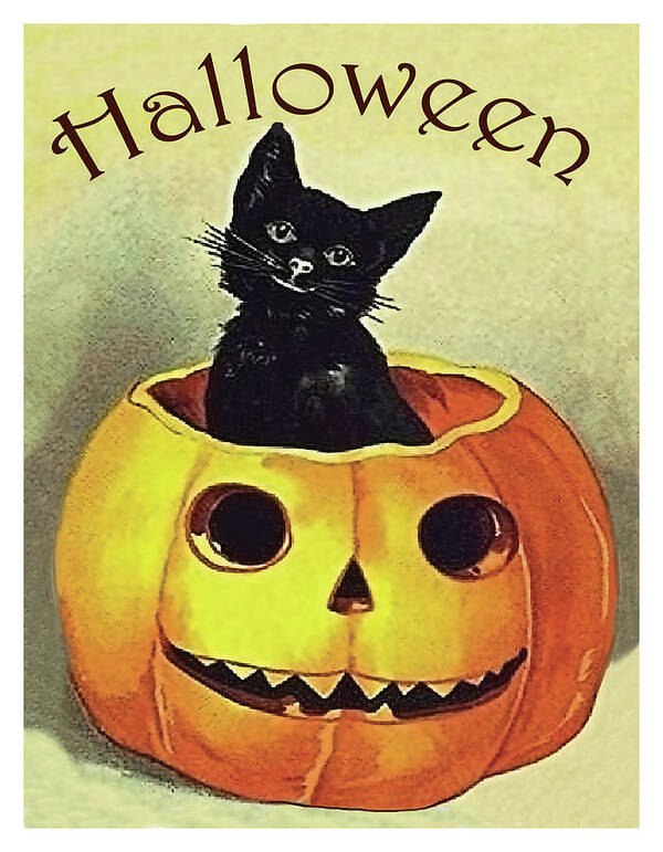 Little Cat Art Print featuring the mixed media Little black cat inside carved pumpkin by Long Shot