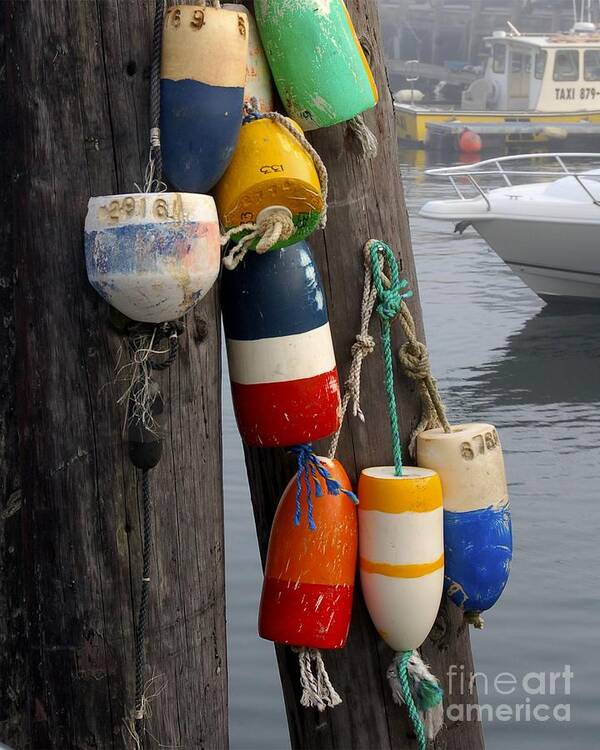 Lobster Buoy at Water Taxi Pier Art Print