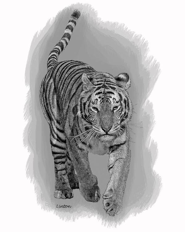 Malaysian Tiger Art Print featuring the digital art Malaysian Tiger by Larry Linton