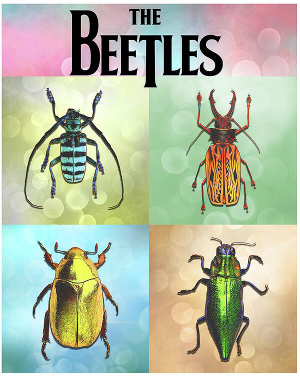 Beetles Art Print featuring the digital art Meet the Beetles by John Haldane