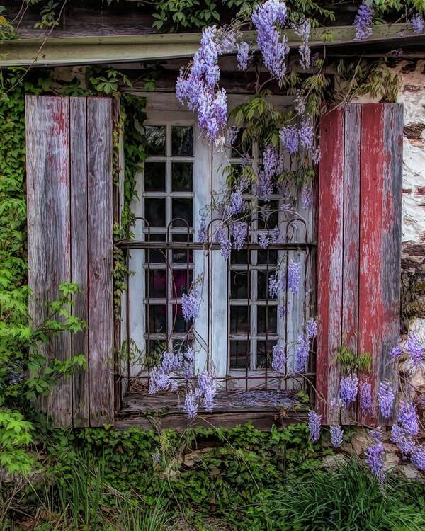 Pleasant Mills Art Print featuring the photograph Mill Window Framed By Wisteria by Kristia Adams