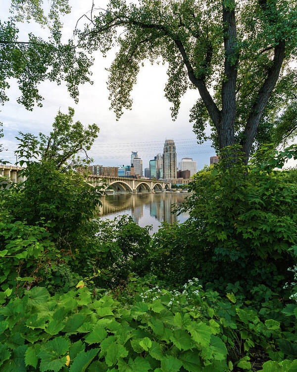 Minneapolis Art Print featuring the photograph Minneapolis Through the Trees by Mike Evangelist