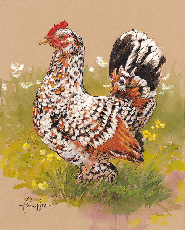 Chicken Art Print featuring the painting Miss Millie Fleur by Tracie Thompson