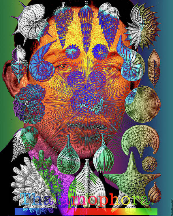 Digital Collage Art Print featuring the digital art Mister Thalamophora by Eric Edelman
