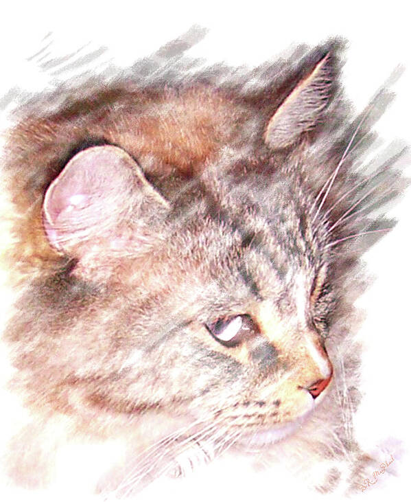 Cat Art Print featuring the photograph Mouser by Barbara MacPhail