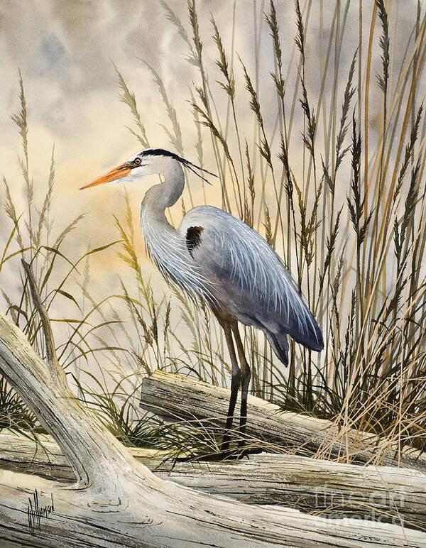 Heron Fine Art Prints Art Print featuring the painting Nature's Wonder by James Williamson