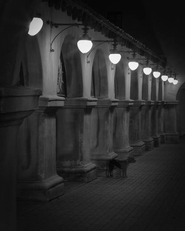 Balboa Park Art Print featuring the photograph Night Watchman by Dusty Wynne
