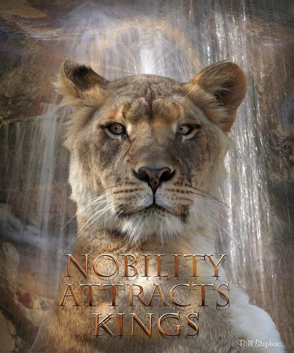 Lions Art Print featuring the digital art Nobility by Bill Stephens