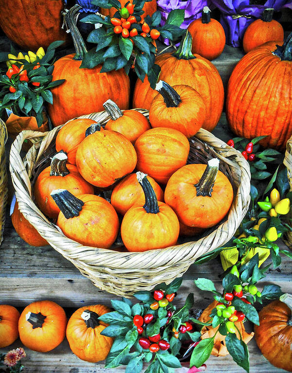 Photograph Go Pumpkins Art Print featuring the photograph October Pumpkins by Joan Reese