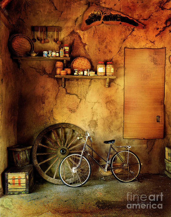 Bicycle Art Print featuring the photograph Old Warehouse Bicycle by Craig J Satterlee