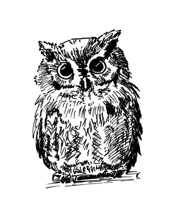 Bird Art Print featuring the painting Owl by Masha Batkova