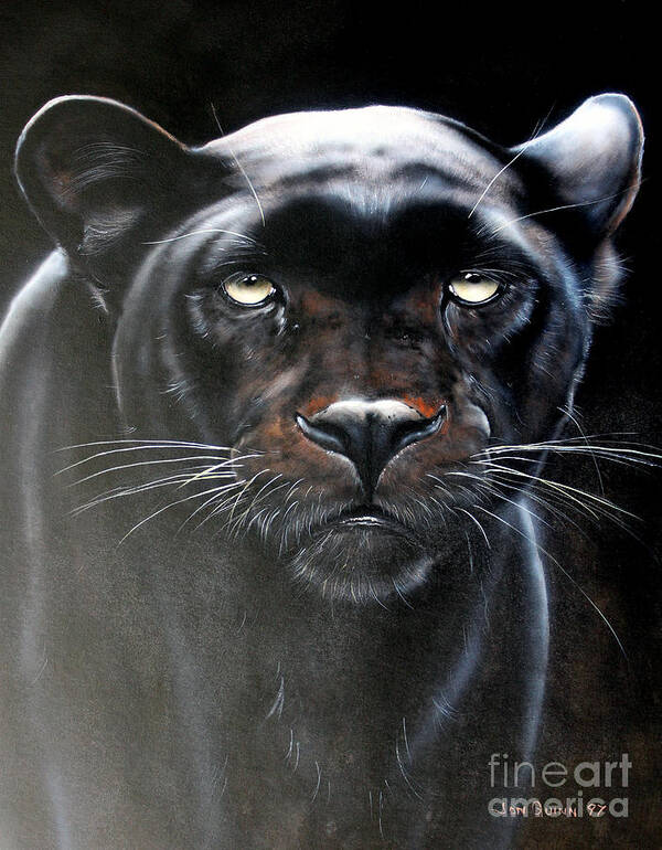 Panther Art Print featuring the painting Panther by Jon Quinn