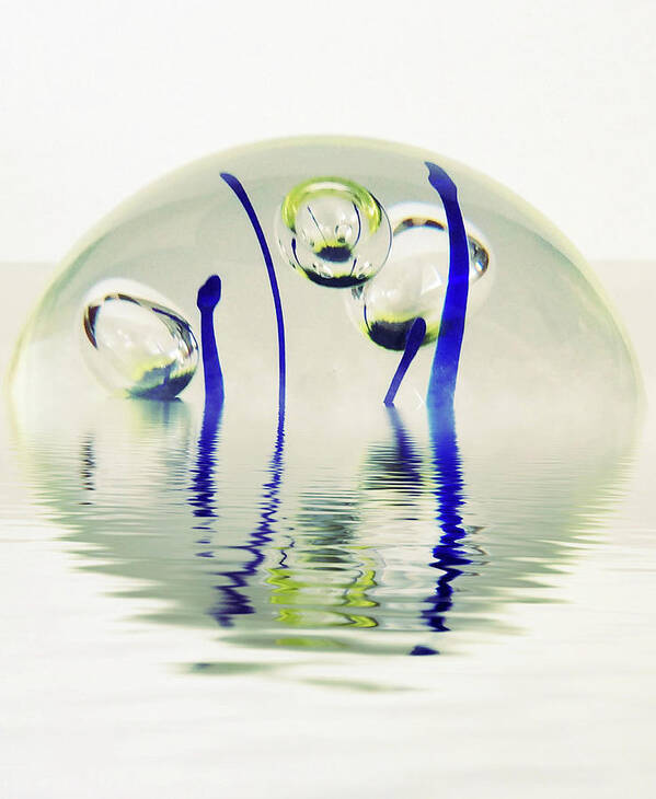 Paperweight Art Print featuring the photograph Paperweight No. 12-1 by Sandy Taylor