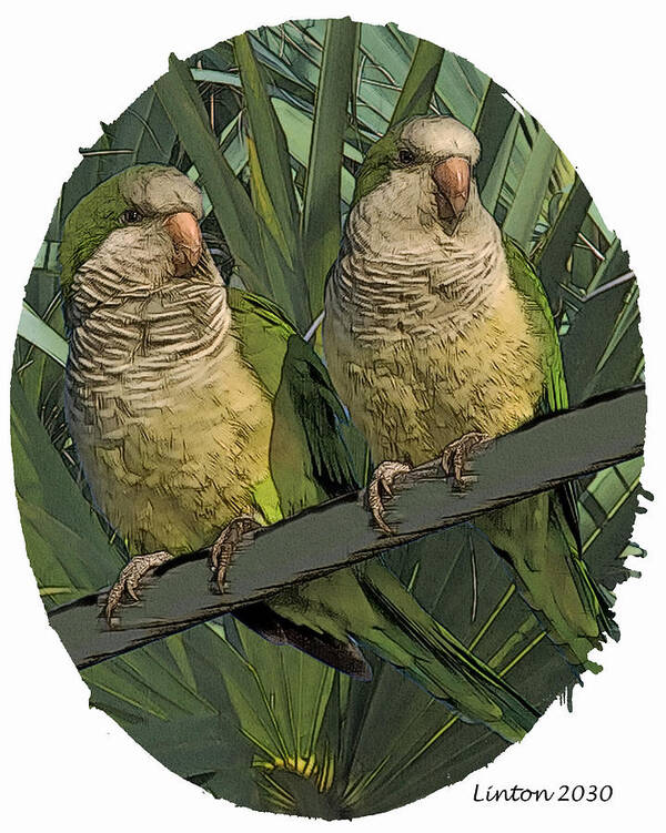 Monk Parakeets Art Print featuring the digital art Parakeet Pair by Larry Linton