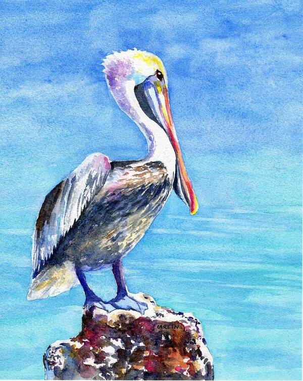 Pelican Art Print featuring the painting Pelican on a Post by Carlin Blahnik CarlinArtWatercolor