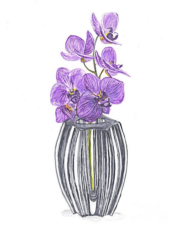 Orchid Art Print featuring the painting Phalenopsis in a Vase by Carol Wisniewski