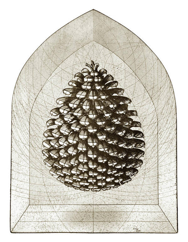 Charles Harden Art Print featuring the drawing Pine Cone by Charles Harden