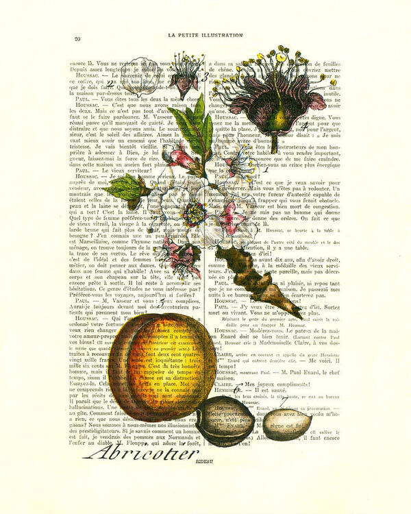 Apricot Prints Art Print featuring the digital art Apricot tree, fruit and blossom plant antique illustration by Madame Memento