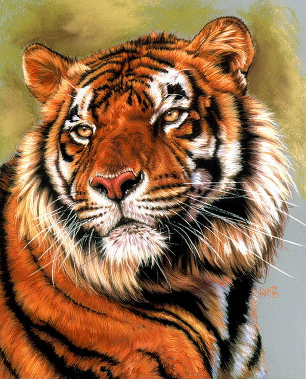 Tiger Art Print featuring the pastel Power and Grace by Barbara Keith